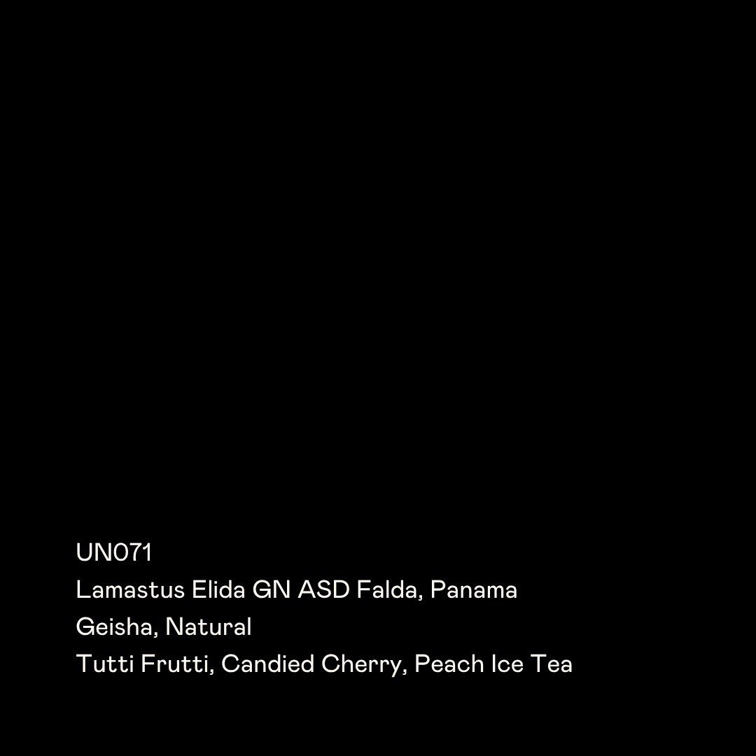 UN071 - Lamastus Elida GN ASD Falda, Geisha Natural