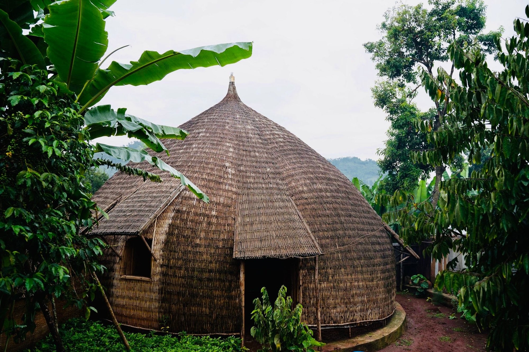 Ethiopia Bette Buna Natural GREEN