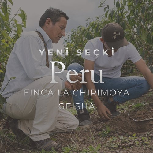 Peru Finca La Chirimoya