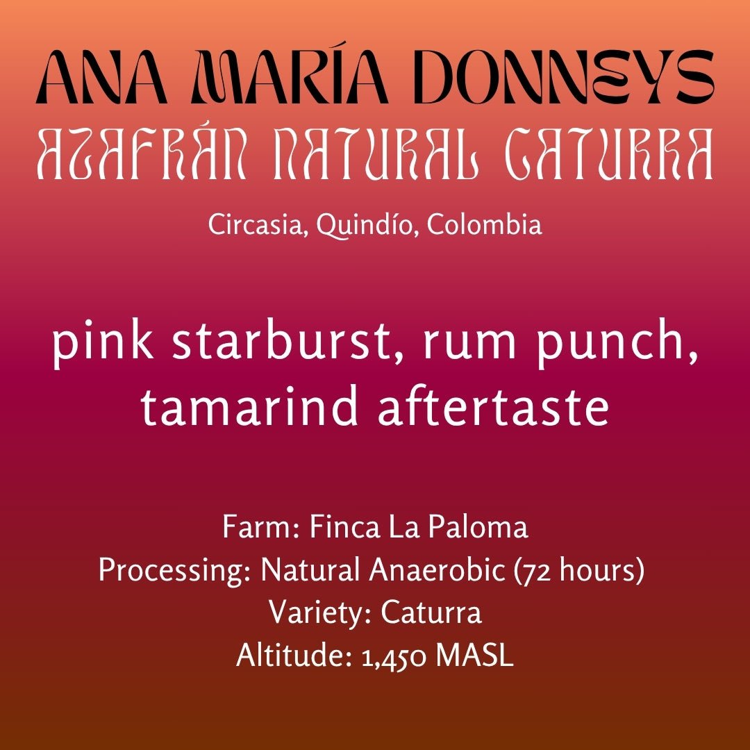 Ana María Donneys, Azafrán Natural Caturra - Colombia