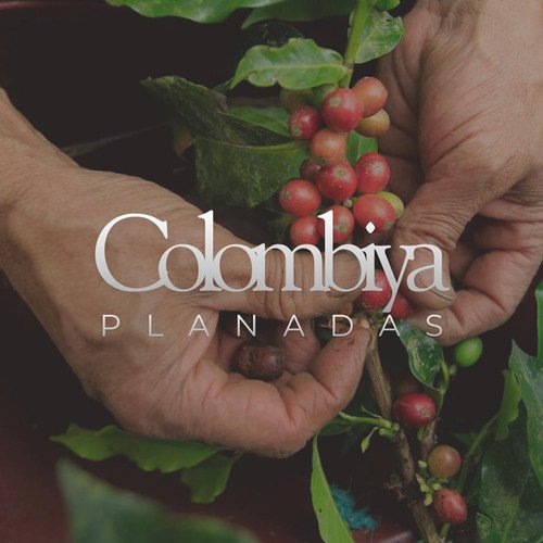 Colombia Planadas