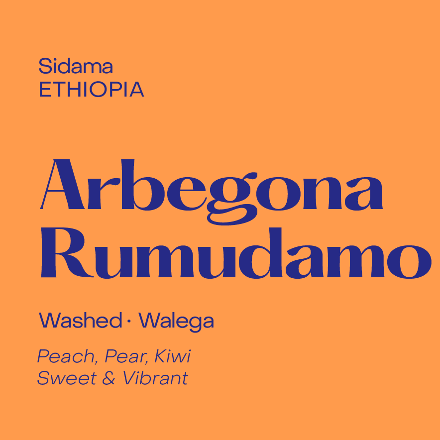 Arbegona Rumudamo, Ethiopia Washed Walega