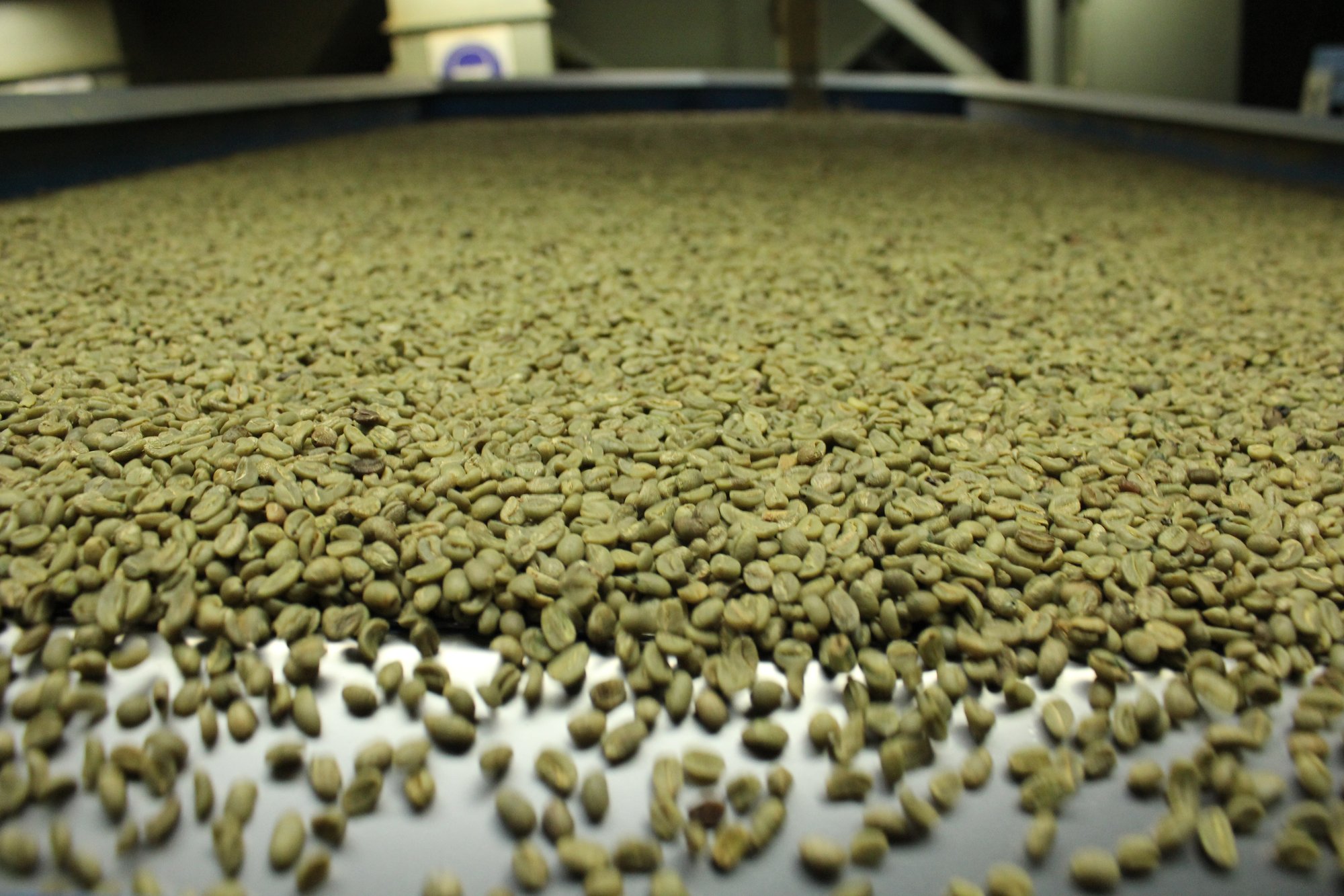 Green coffee