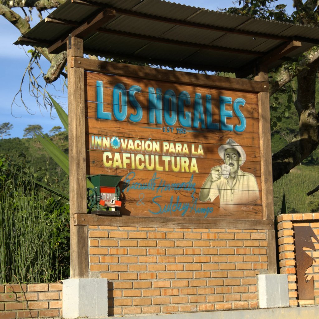 Colombia Los Nogales Pink Bourbon Bloom
