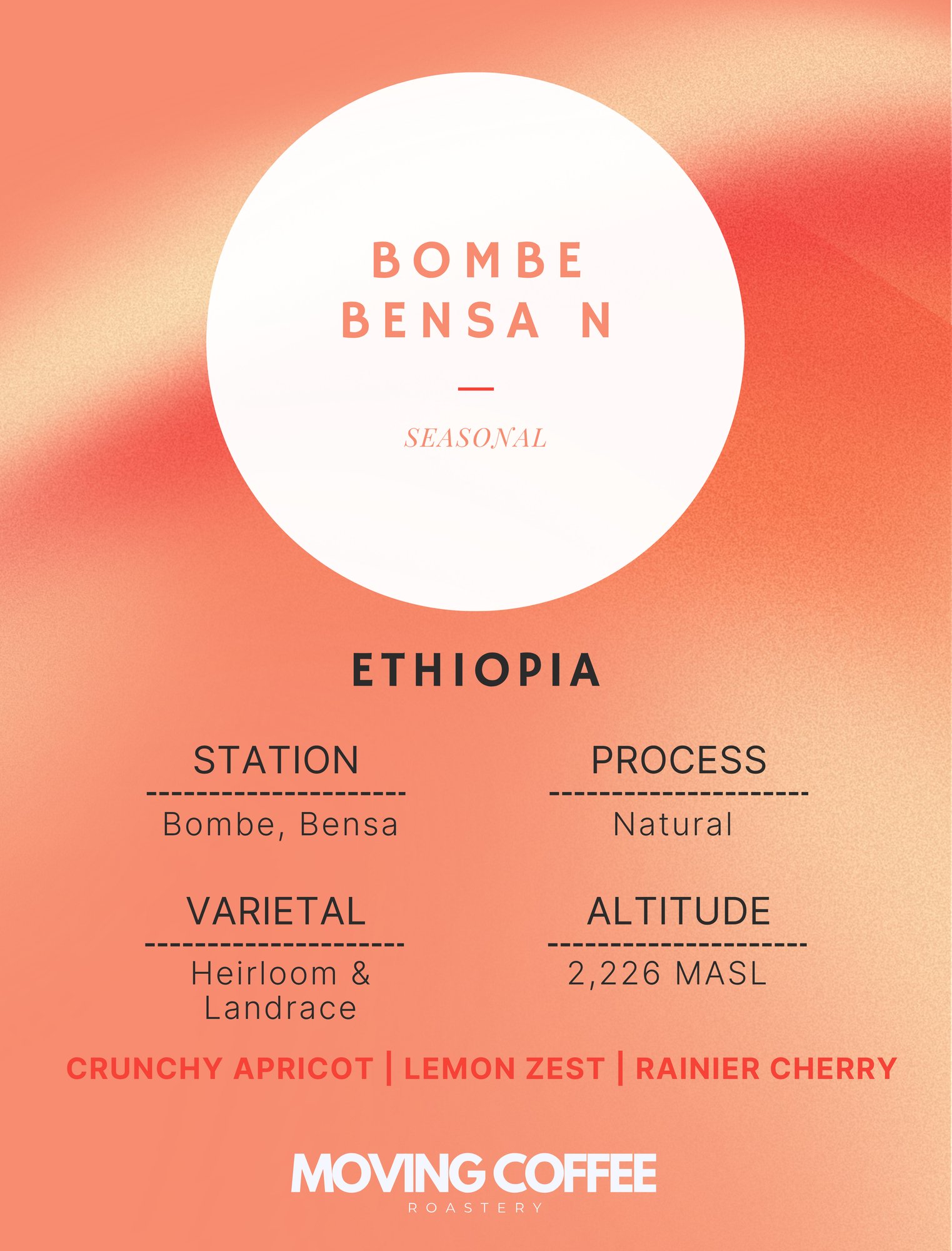 WS3 - Bombe Bensa N