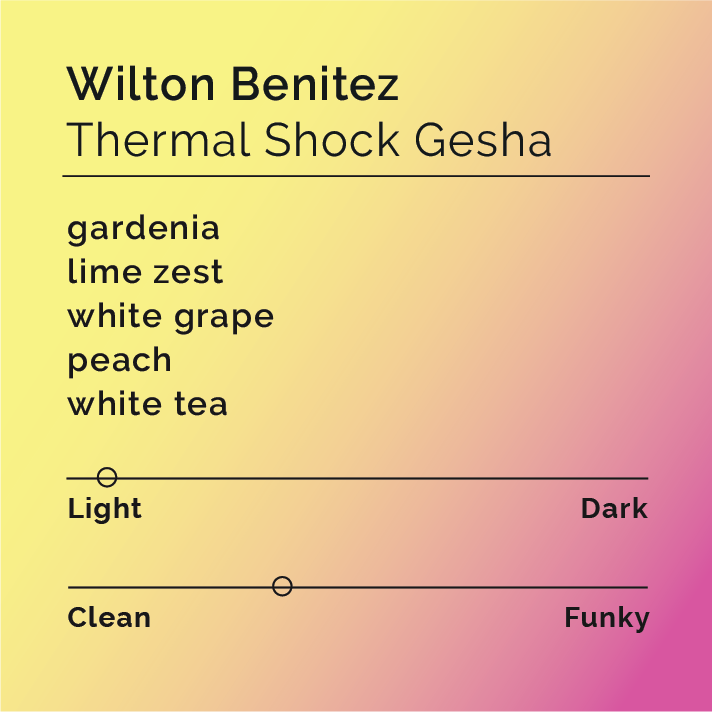 Wilton Benitez - Thermal Shock Gesha
