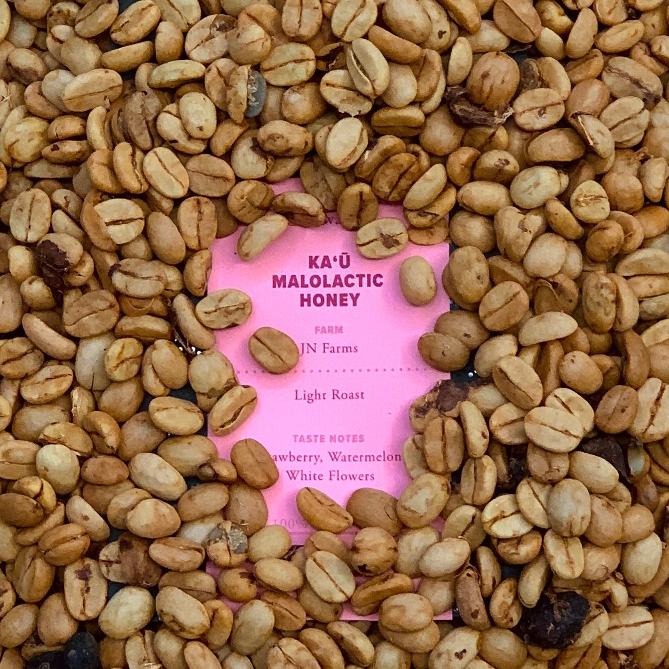 Hawaiʻi Kaʻū Malolactic Honey