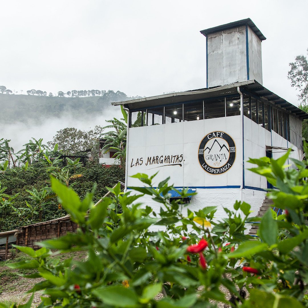 Colombia - CGLE Las Margaritas - Sidra Washed