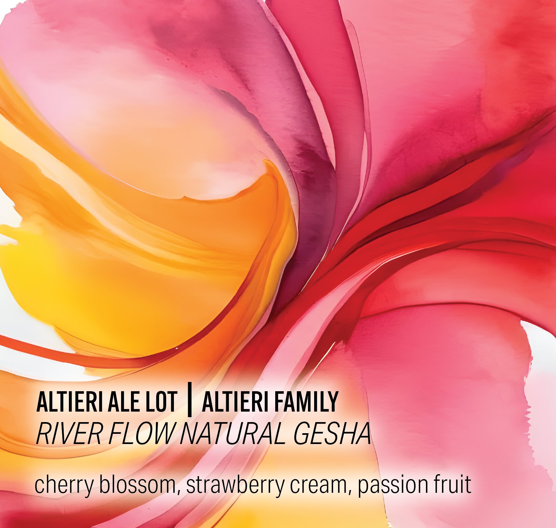 Altieri Ale Lot - River Flow Natural Gesha - Panama