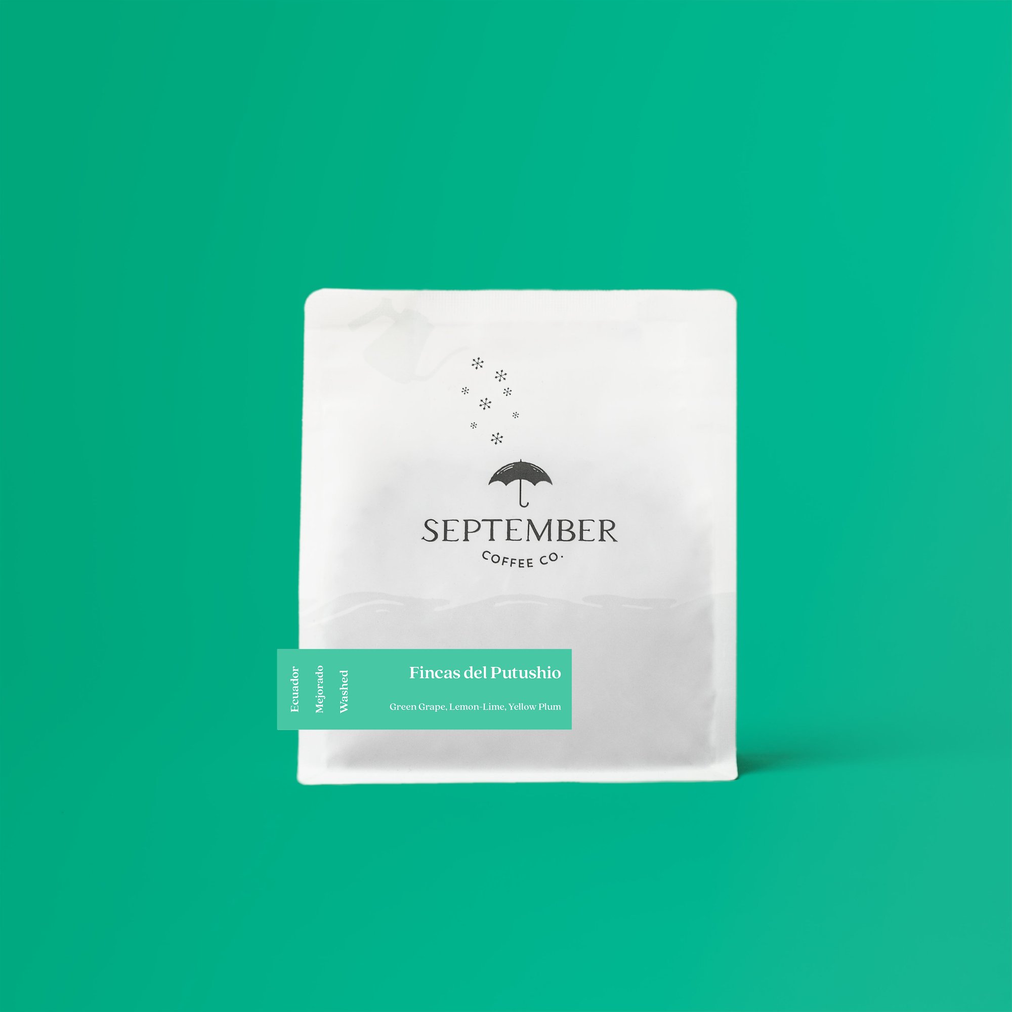 Fincas Del Putushio - Washed Mejorado (Extra-Light)
