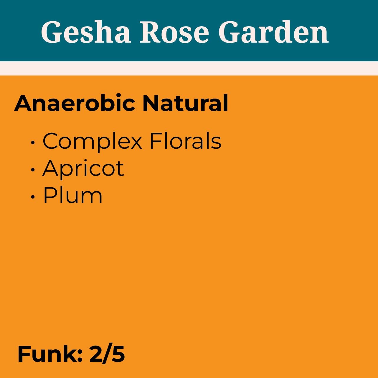 Gesha Rose Garden