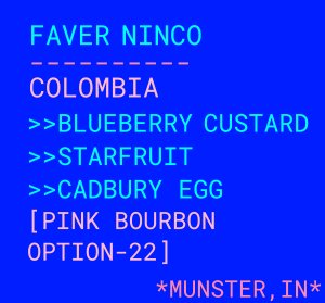 Faver Ninco