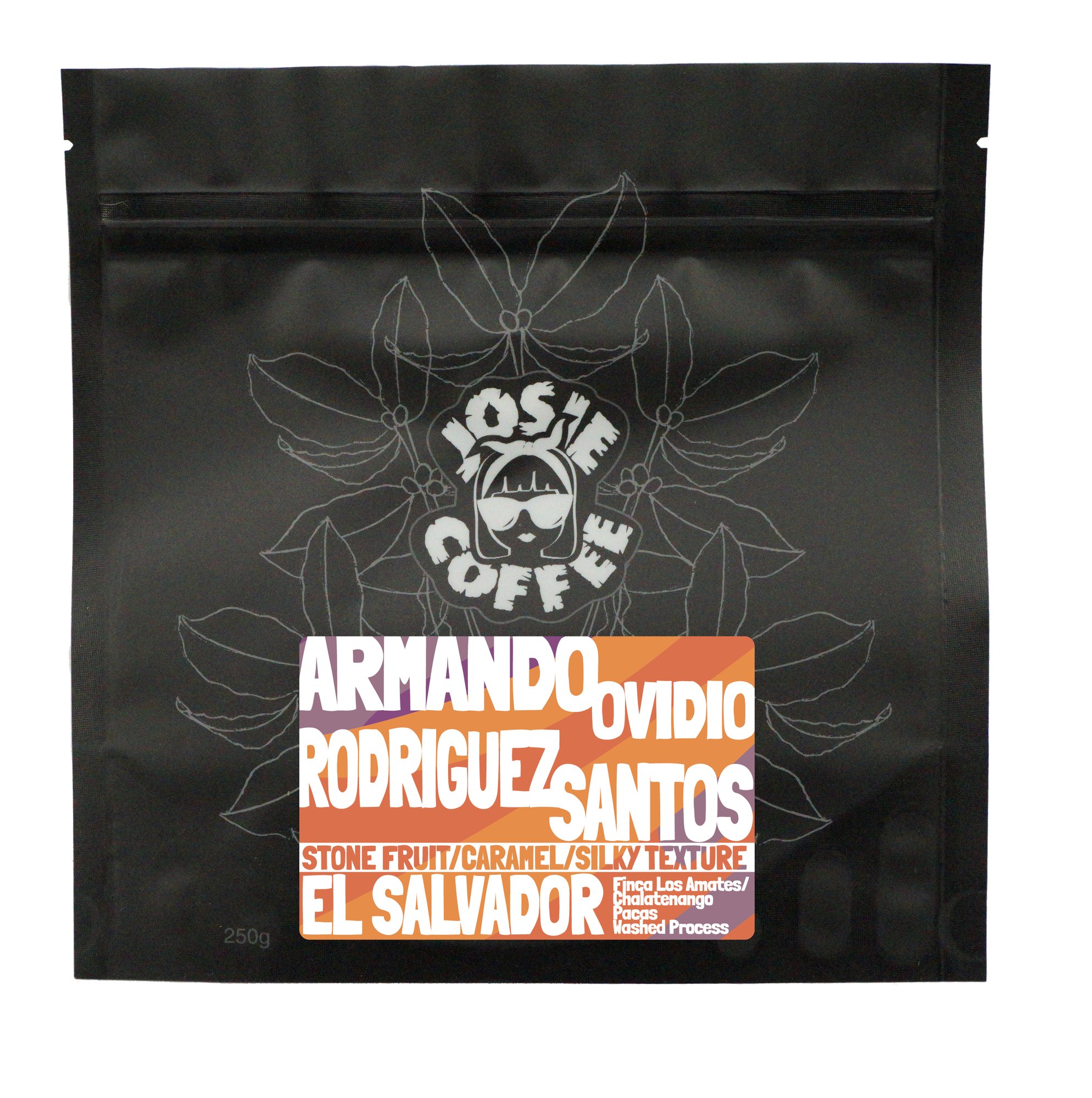 El Salvador - Armando Ovidio Rodriguez AA - Washed