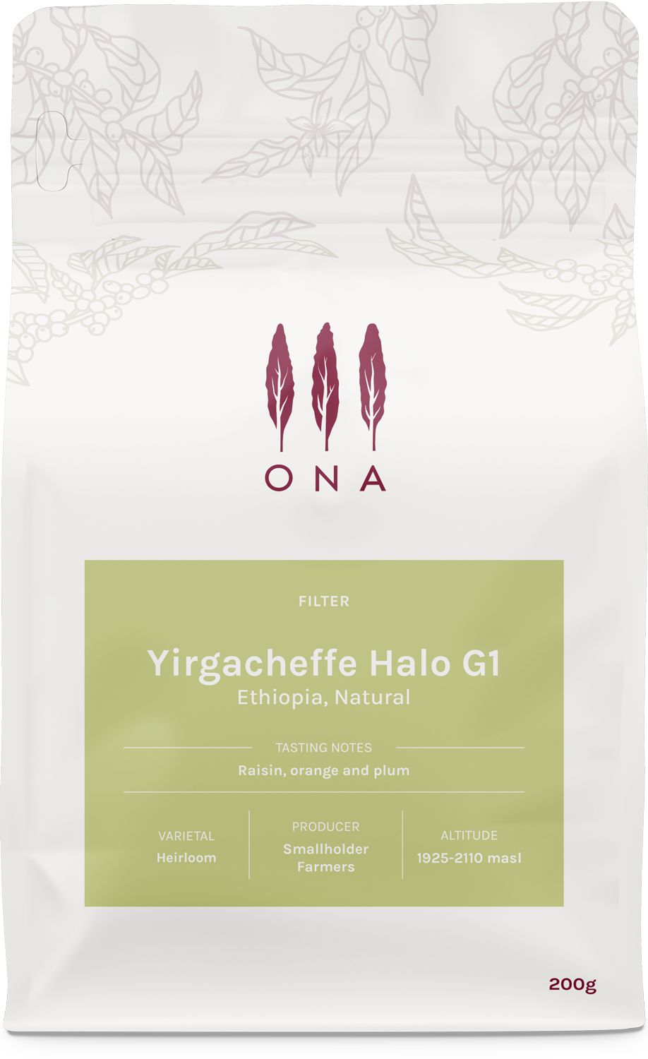 Yirgacheffe Halo G1, Ethiopia, Natural