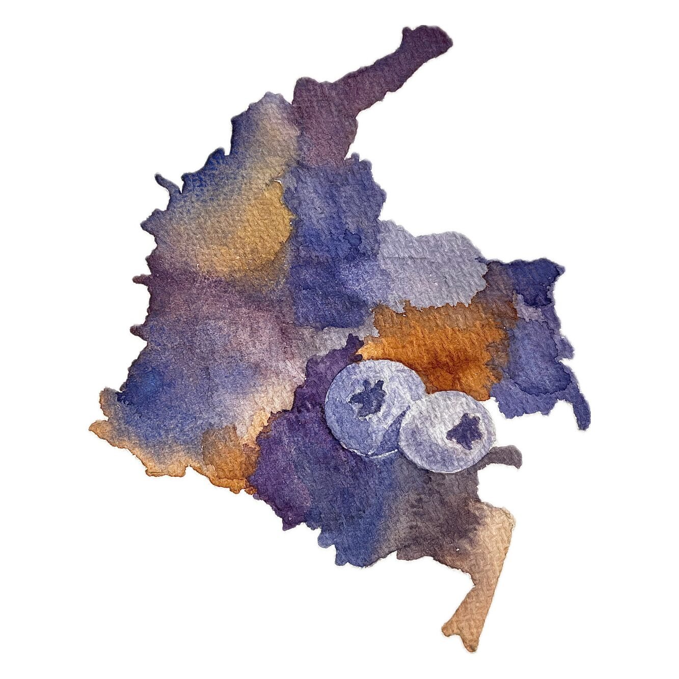 Kolumbien – Blueberry Dream