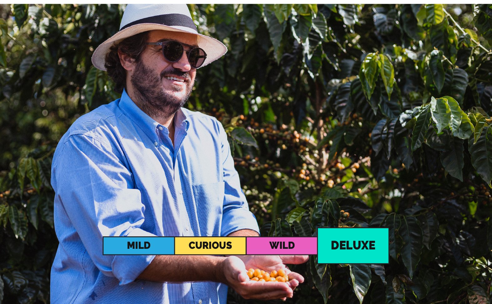LIMITED | BRAZIL | Santuario Sul | Pacamara | Fermented Natural