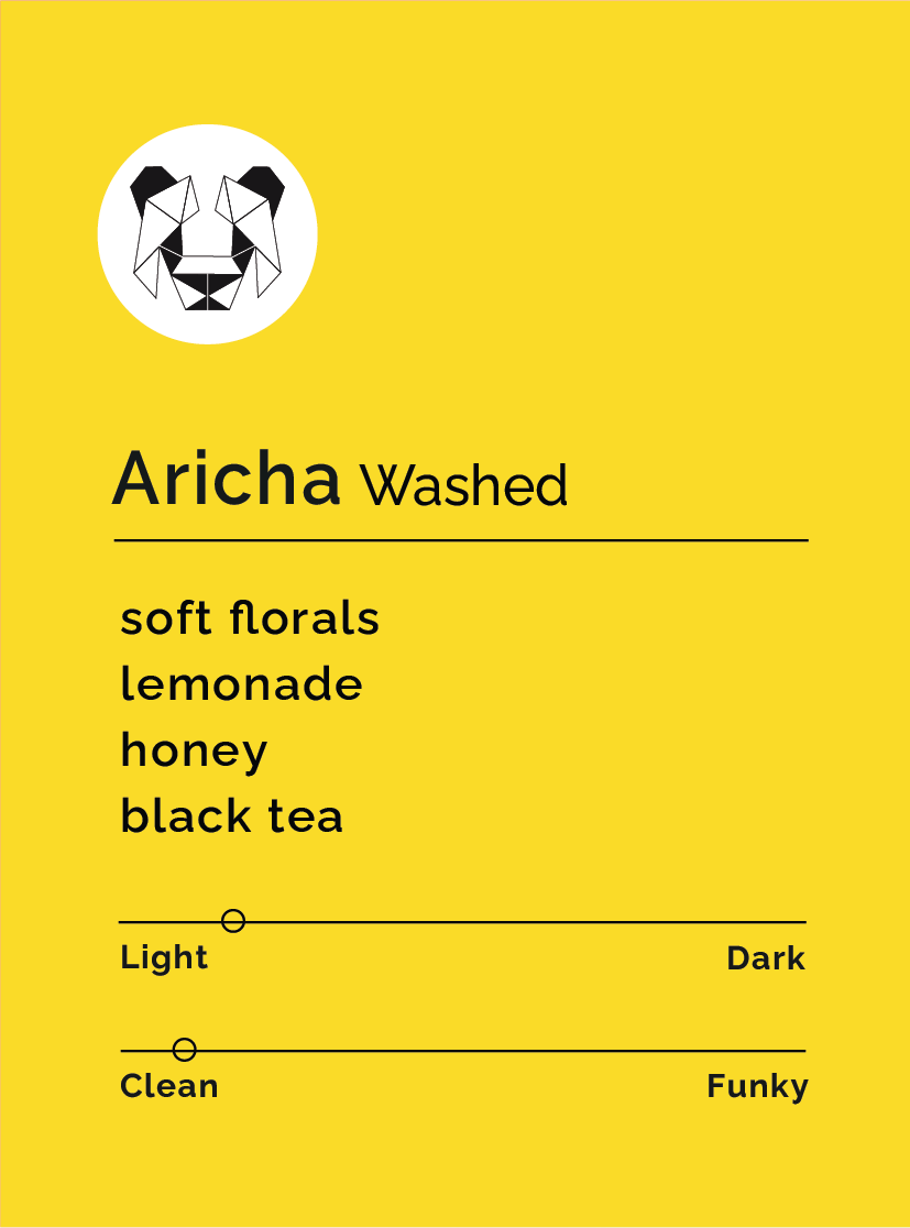 Aricha - Washed