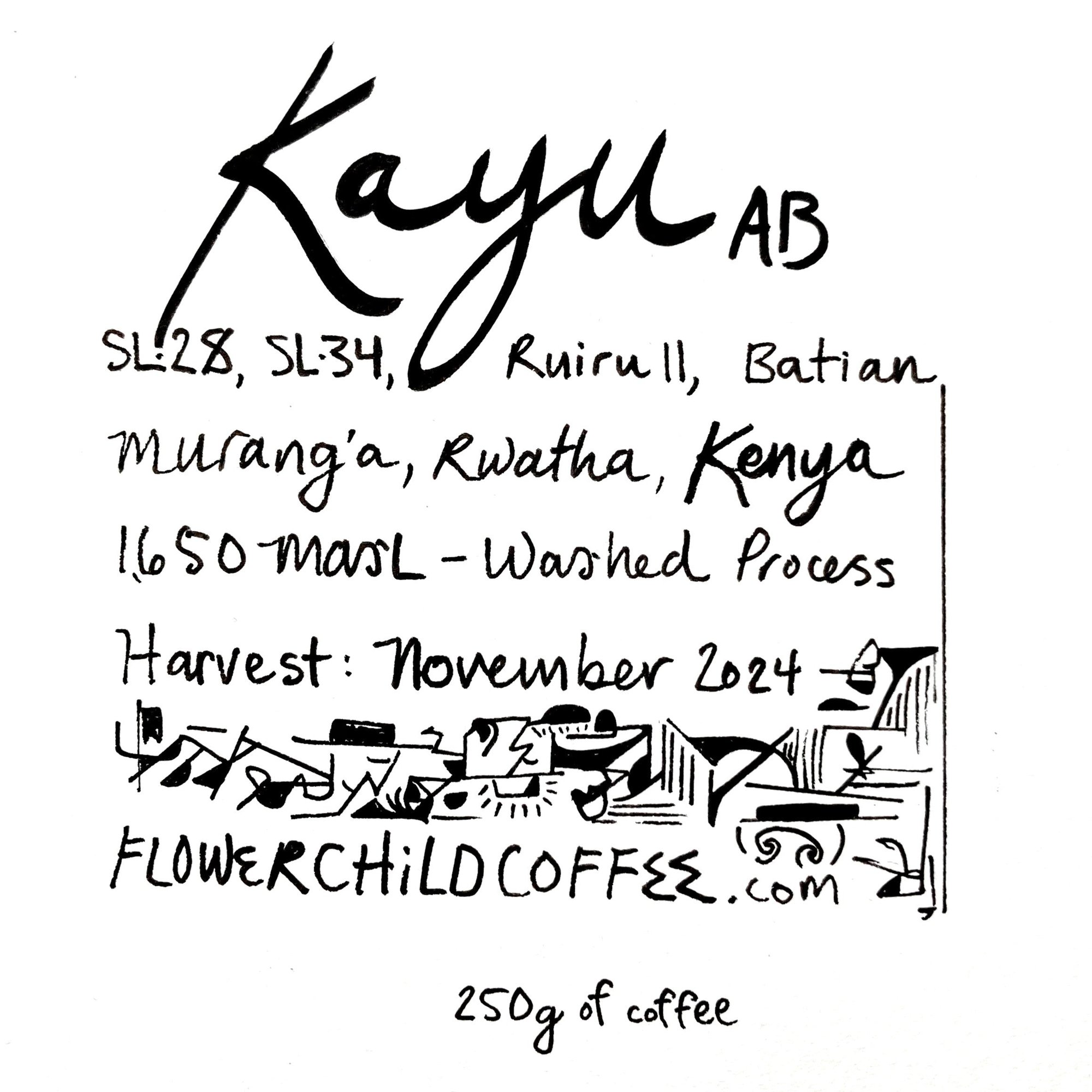 Kayu
