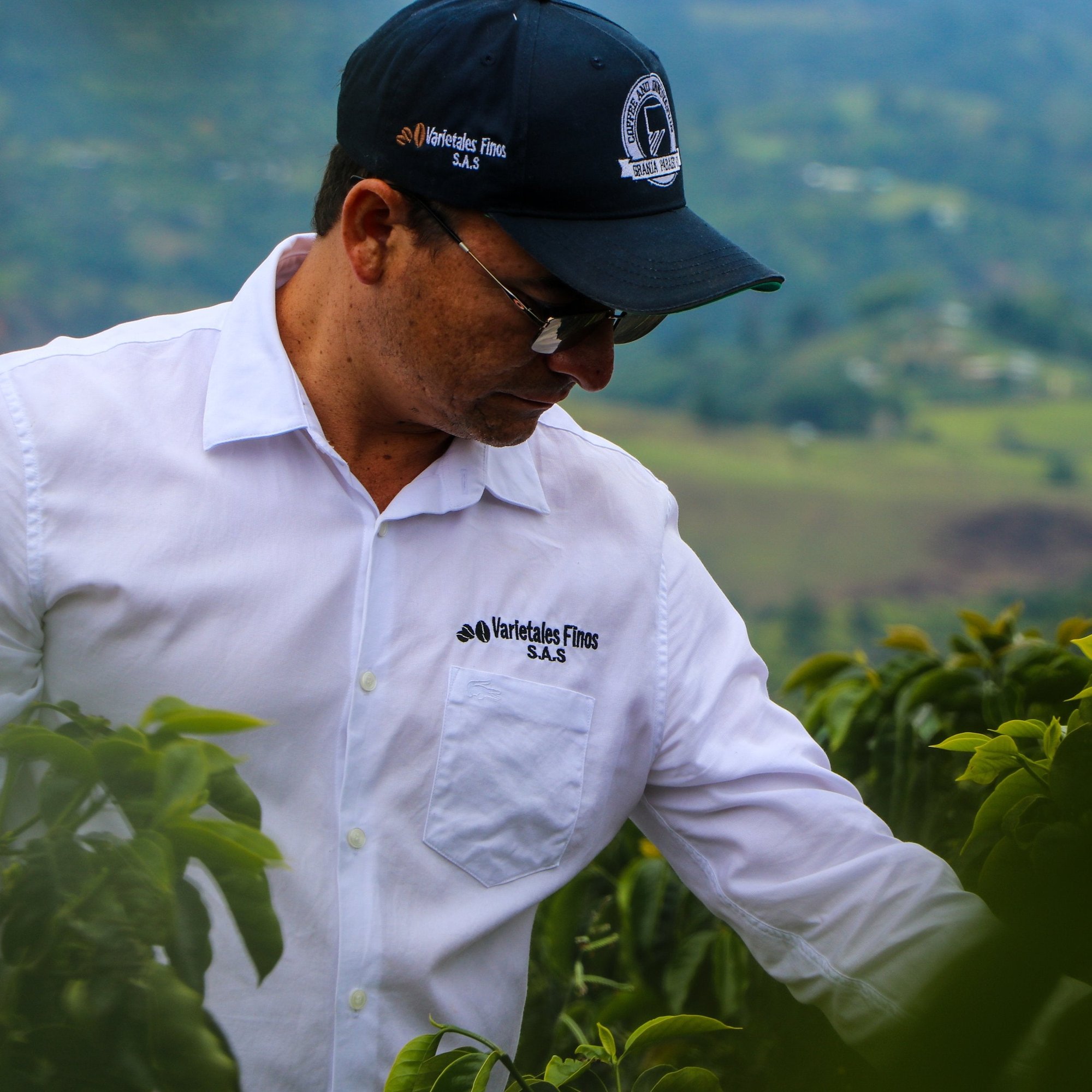 Colombia Wilton Benitez Red Bourbon "LoCaf" FILTER