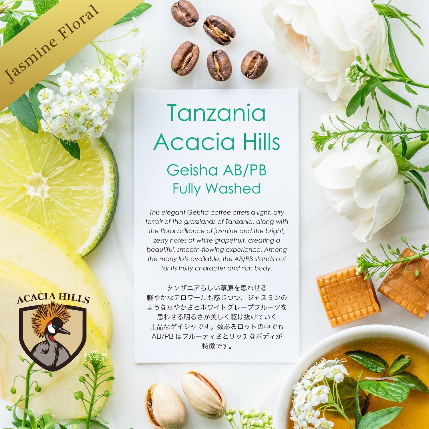 Acacia Hills Geisha AB/PB Fully Washed