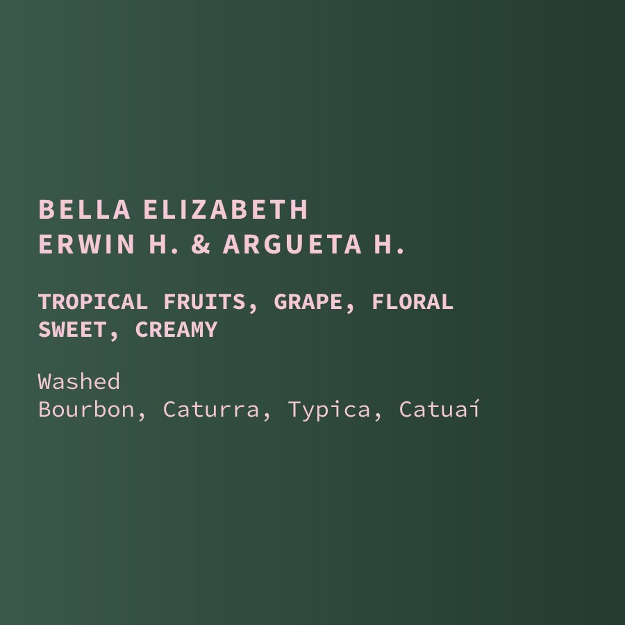 Guatemala COE #2 Bella Elizabeth Washed Bourbon Caturra
