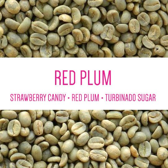Diego Bermudez – Red Plum P-02 GREEN BEANS
