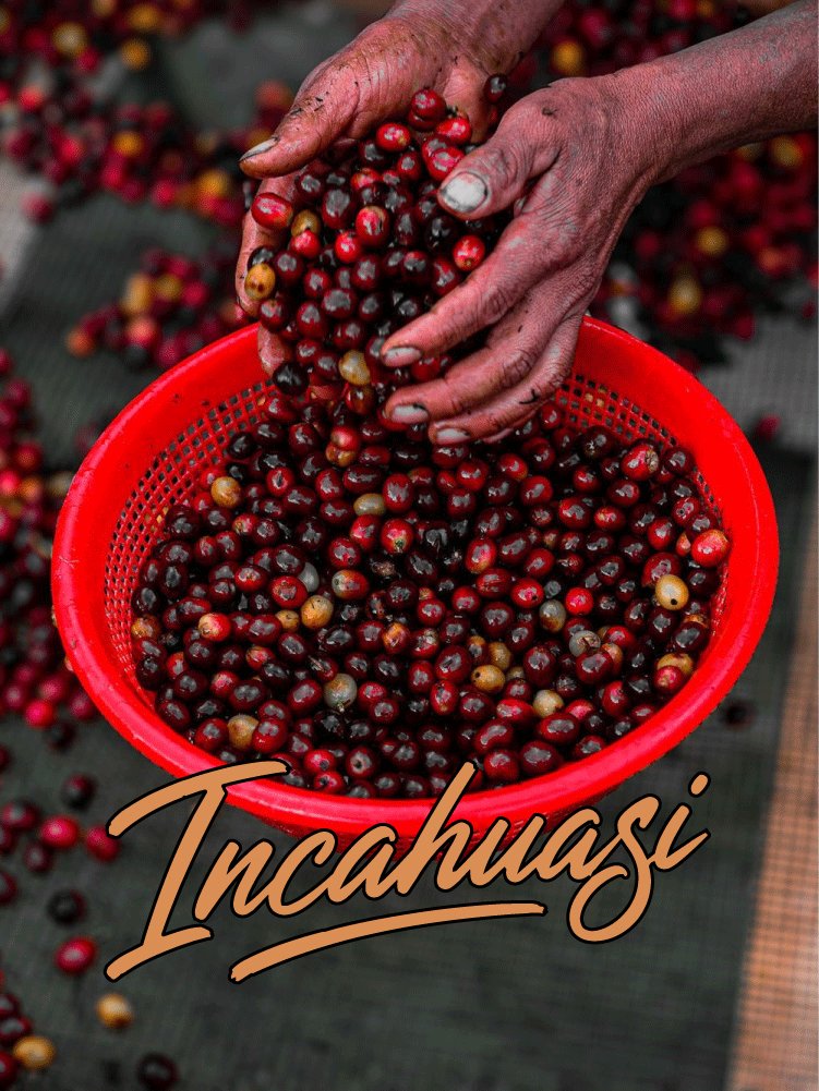 Incahuasi · Peru · Typica, Caturra, Bourbon · Natural