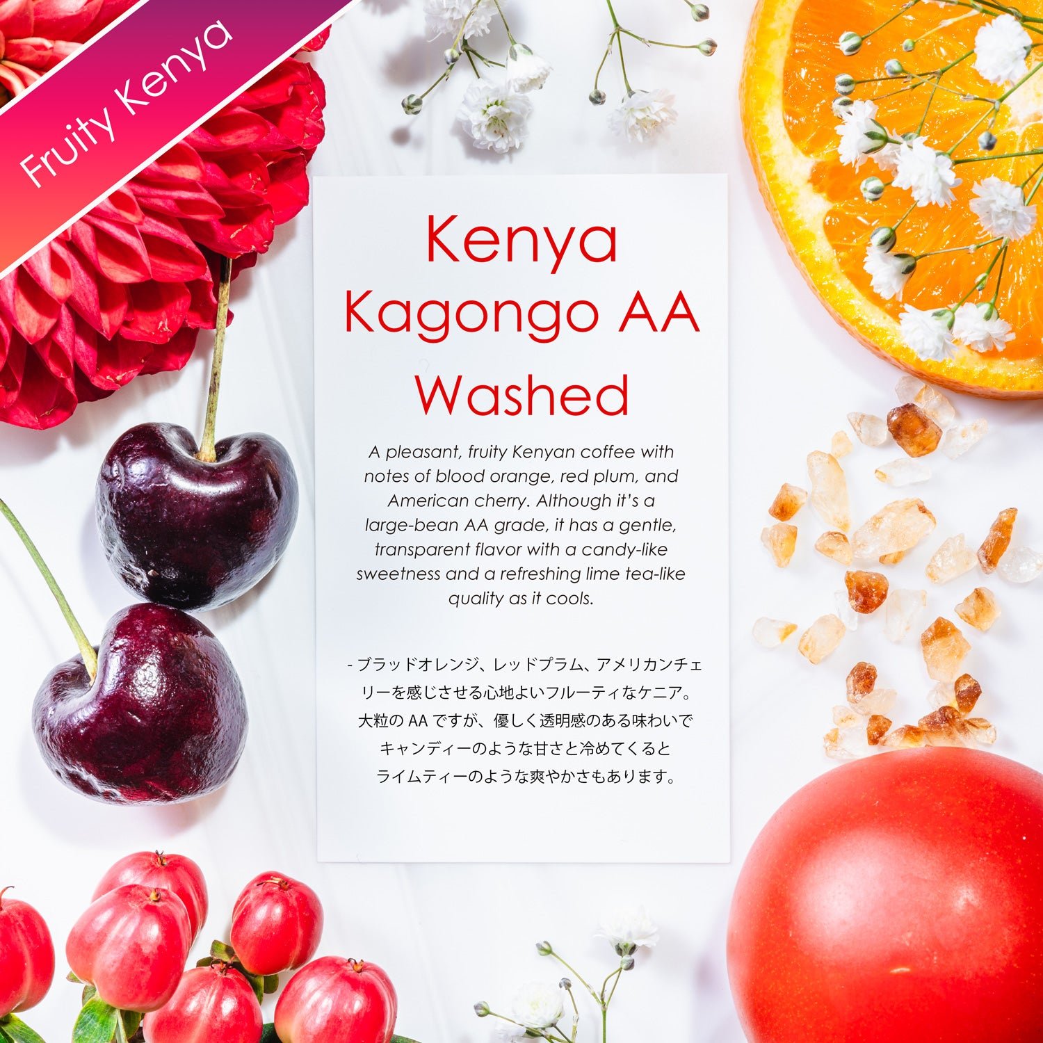 Kagongo AA Washed【フルーティケニア】