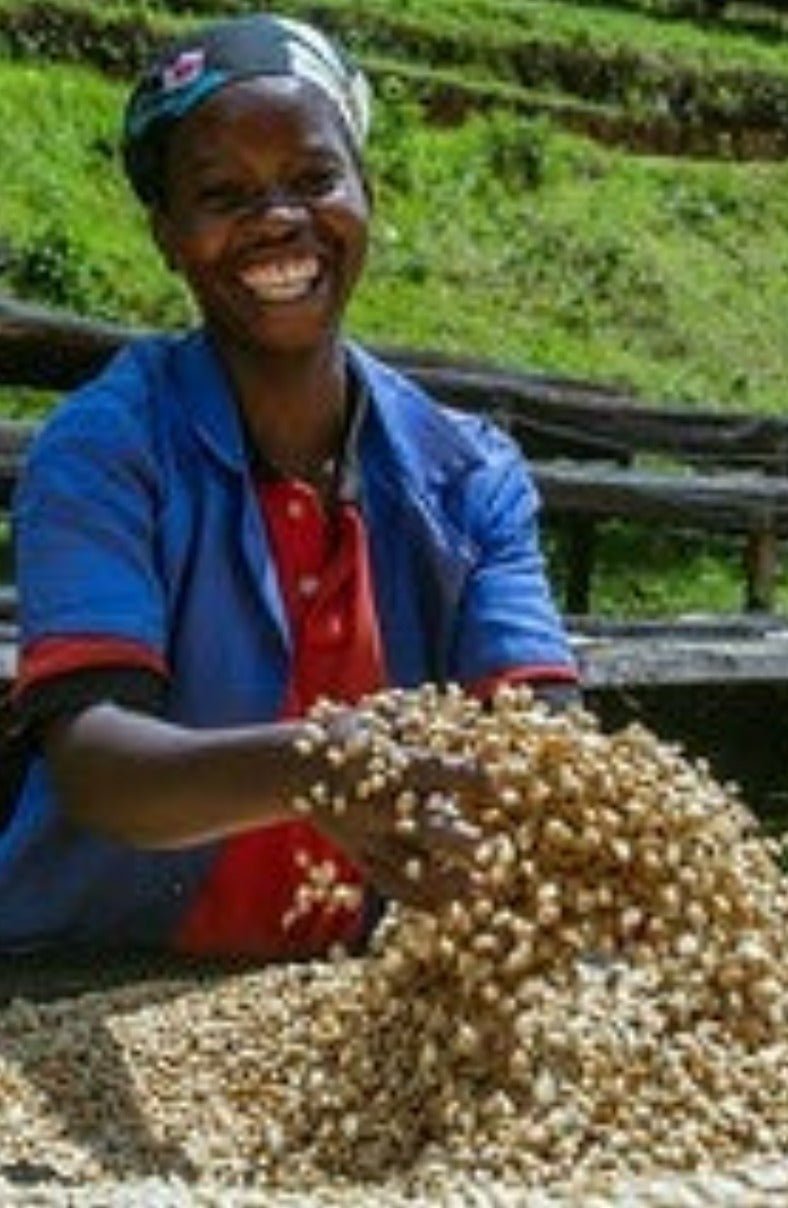 Rwanda Macuba Washed Filter