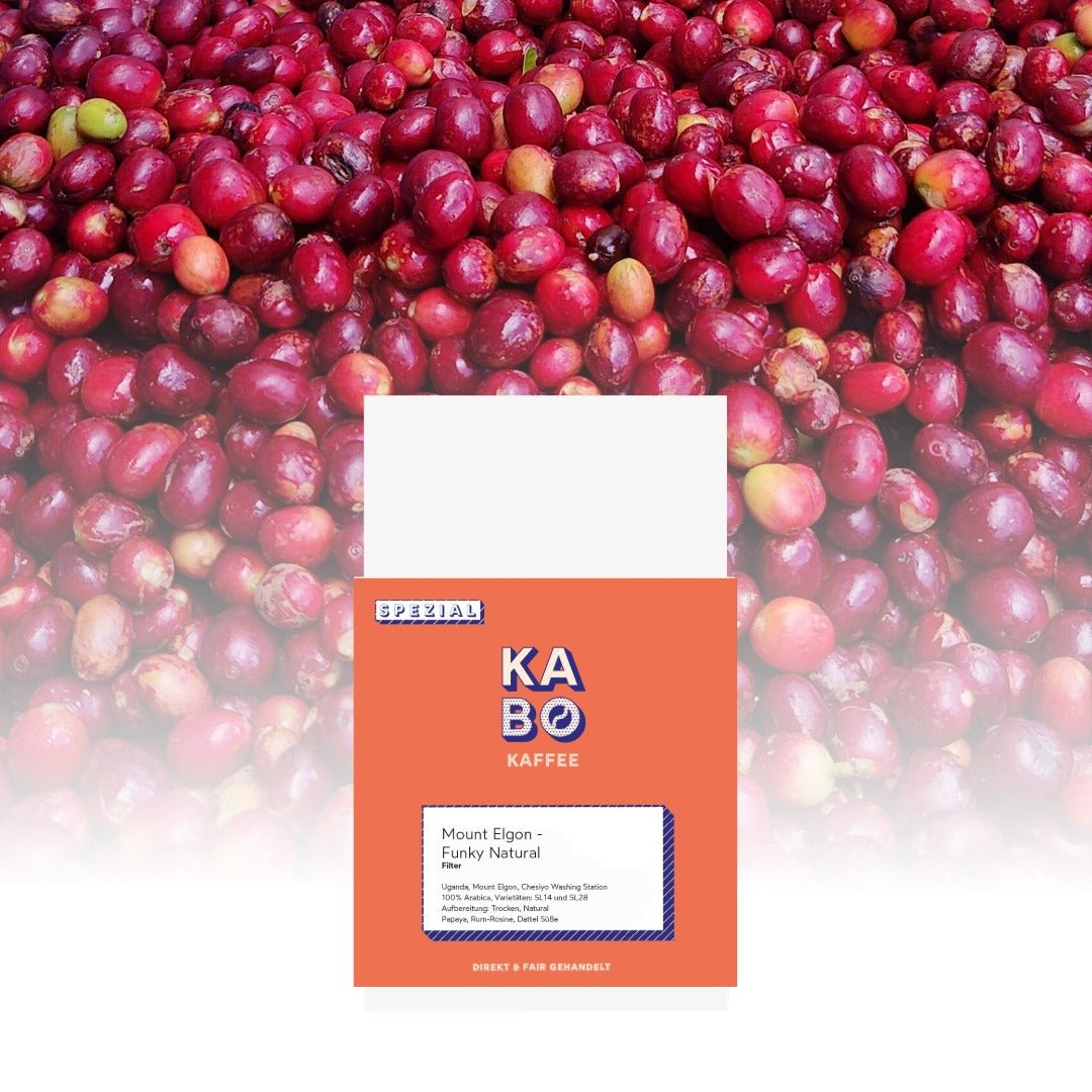 Filterkaffee „Mount Elgon"