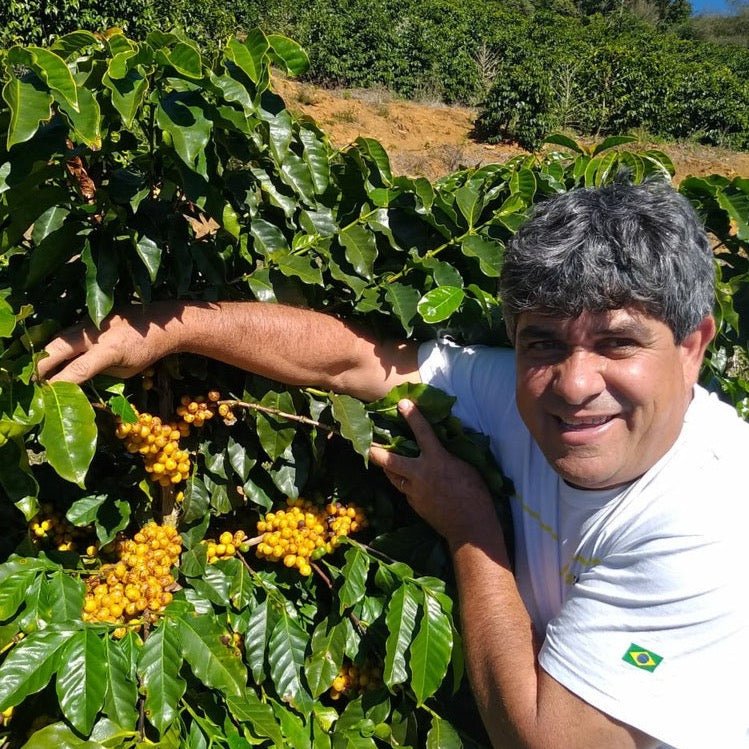 ’Brazil Sitio Da Torre