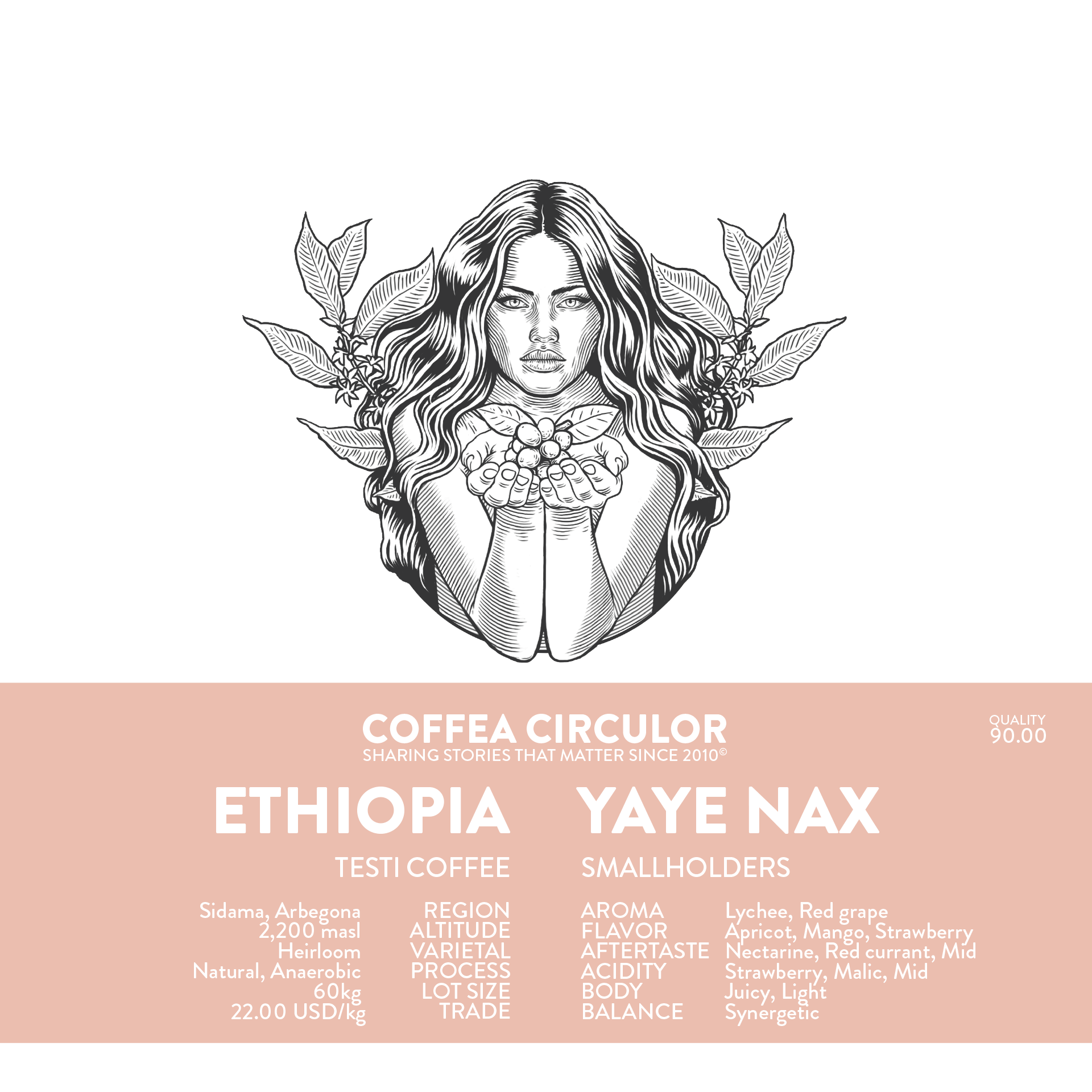 ETHIOPIA Yaye Natural Anaerobic NAX