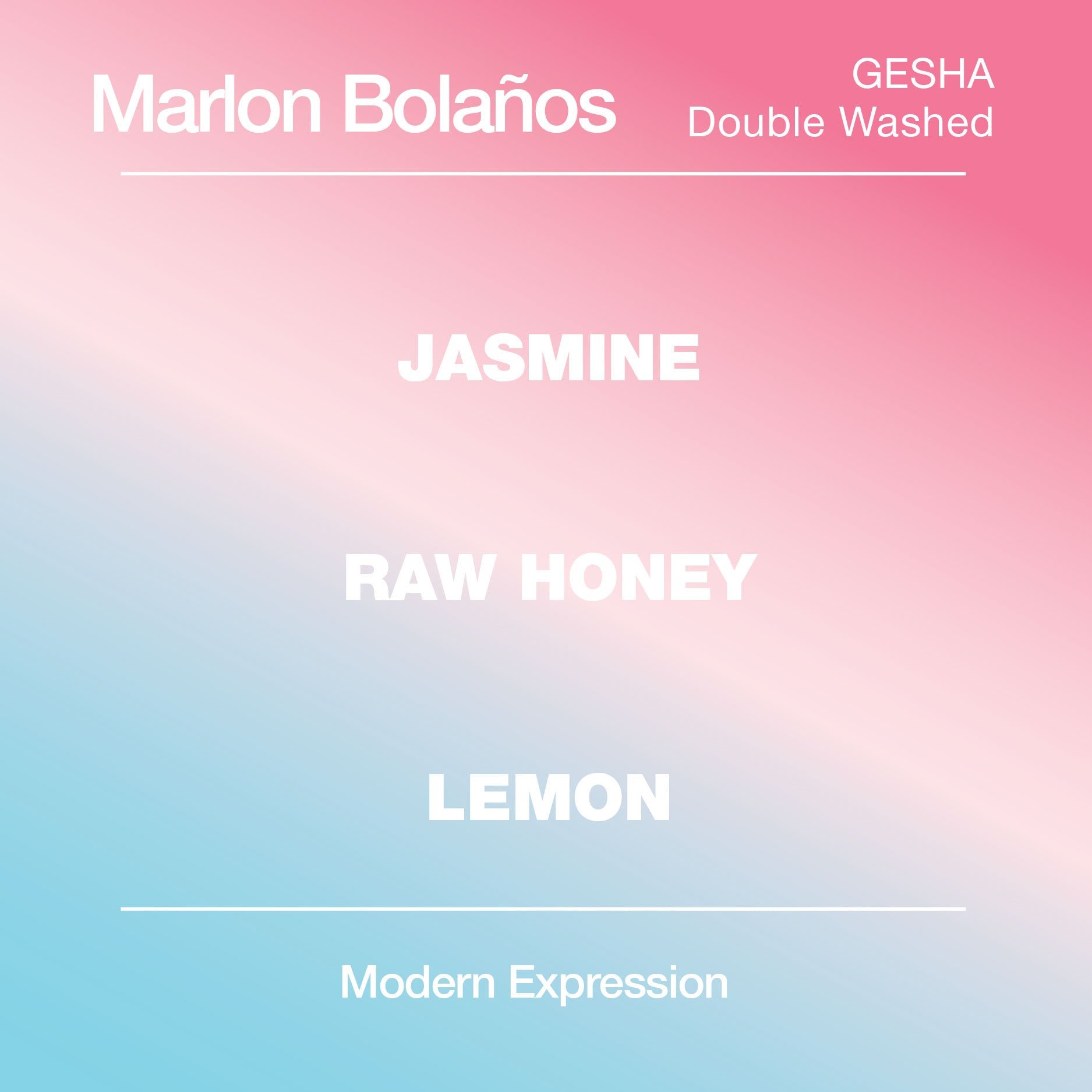 Marlon Bolaños Washed Gesha