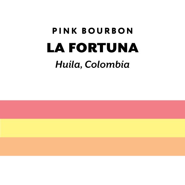 Colombia La Fortuna Pink Bourbon