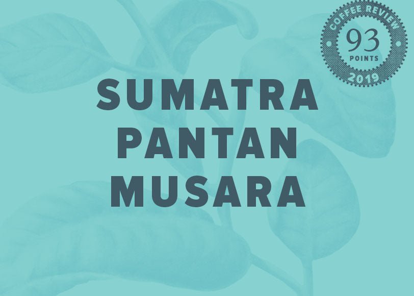 Sumatra Pantan Musara