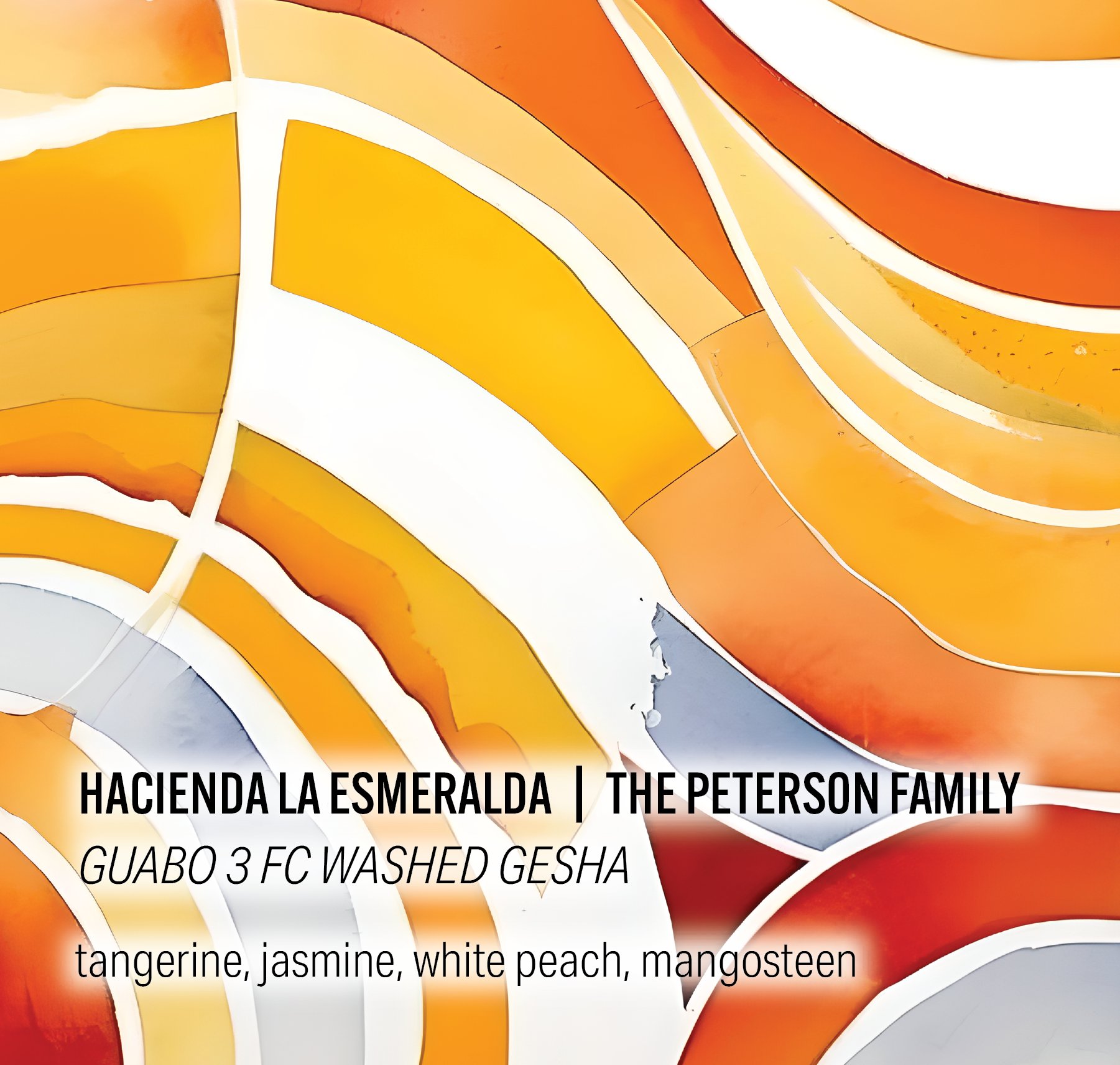 Hacienda La Esmeralda Peterson Family - Guabo 3 FC Washed Gesha - Panama