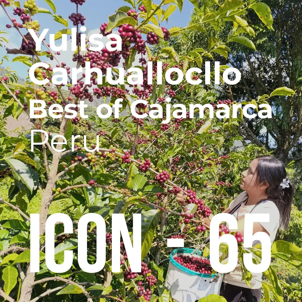 ICON 65 - Yulisa Carhuallocllo, Best of Cajamarca #1