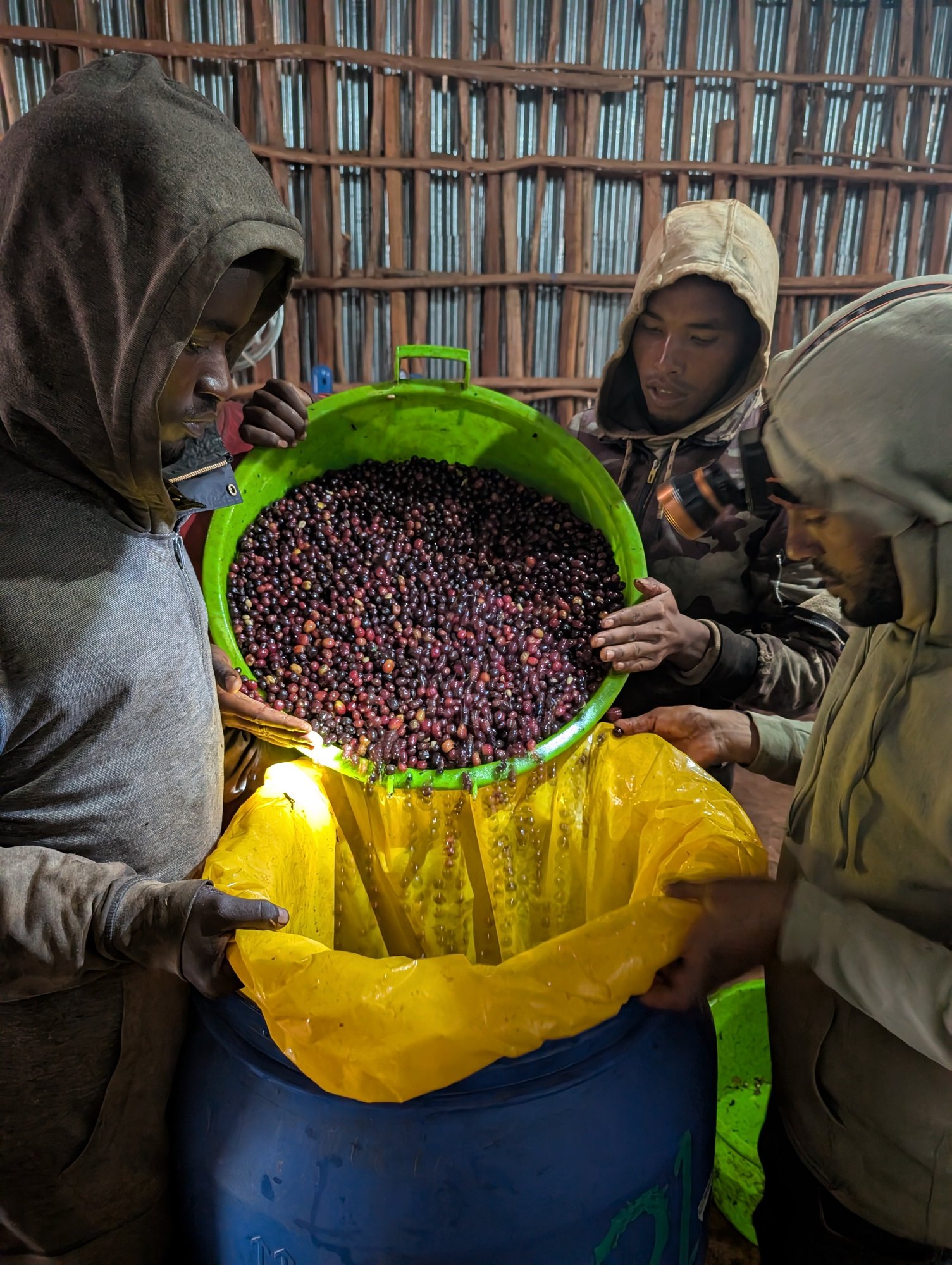 Ethiopia Bette Buna Cherry Kiss