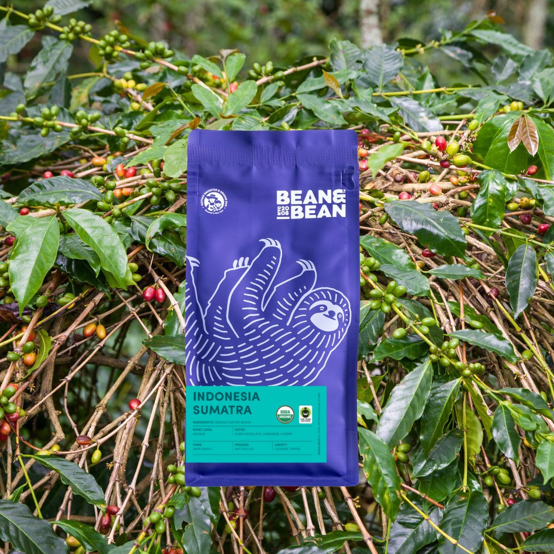 Indonesia Sumatra, Organic & Fair Trade