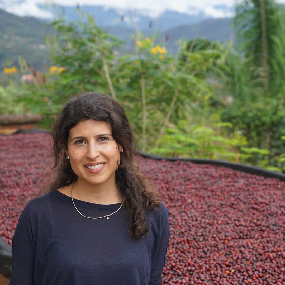 Bolivia - La Linda - Anoxia Java