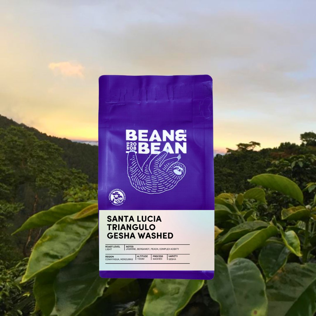 Honduras Santa Lucia Triangulo Gesha Washed