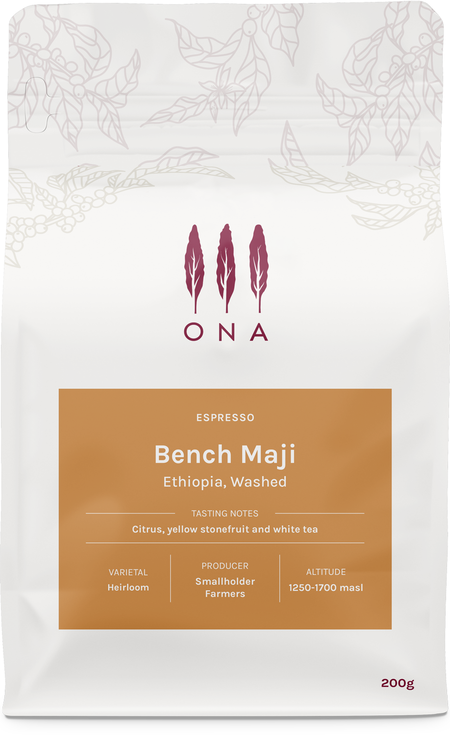 Bench Maji, Ethiopia, Washed