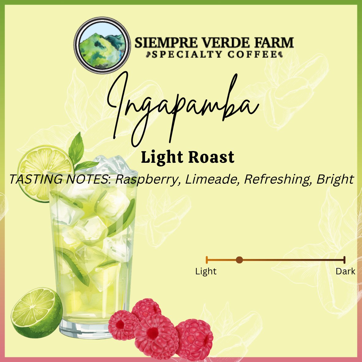Ingapamba - Light Roast