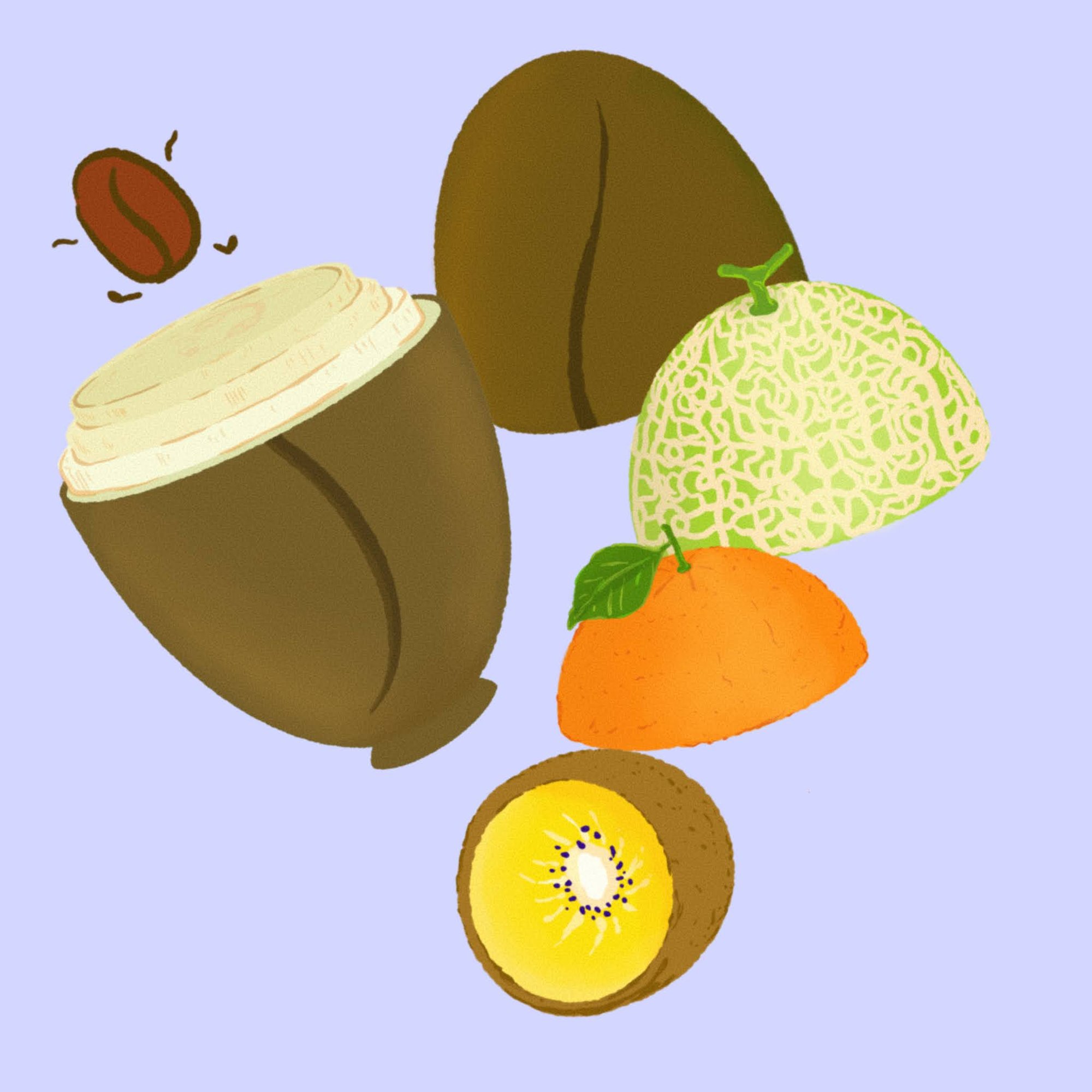 Pacamara - Natural - Hacienda La Papaya