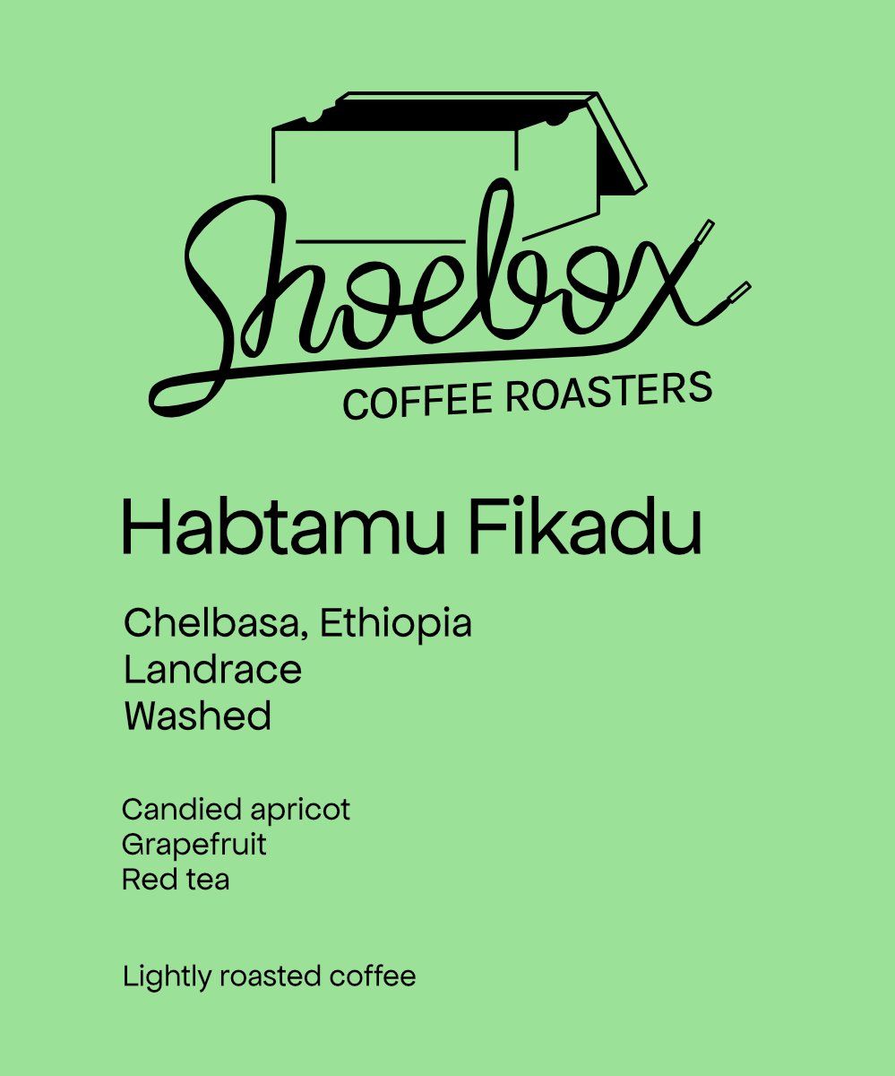 Ethiopia Habtamu Fikadu Aga Washed