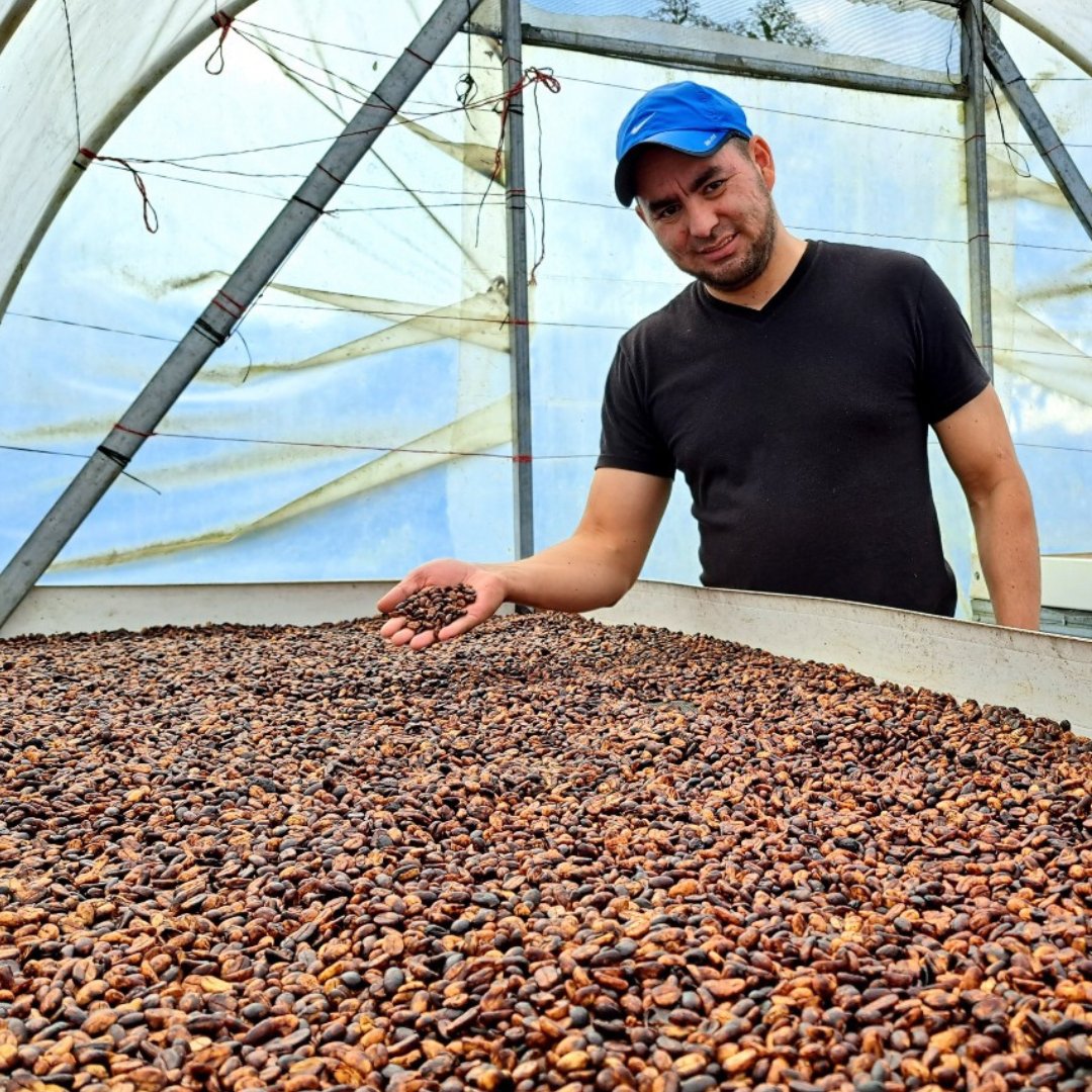 Honduras Finca El Manzano Geisha by Esmelin Sagastume