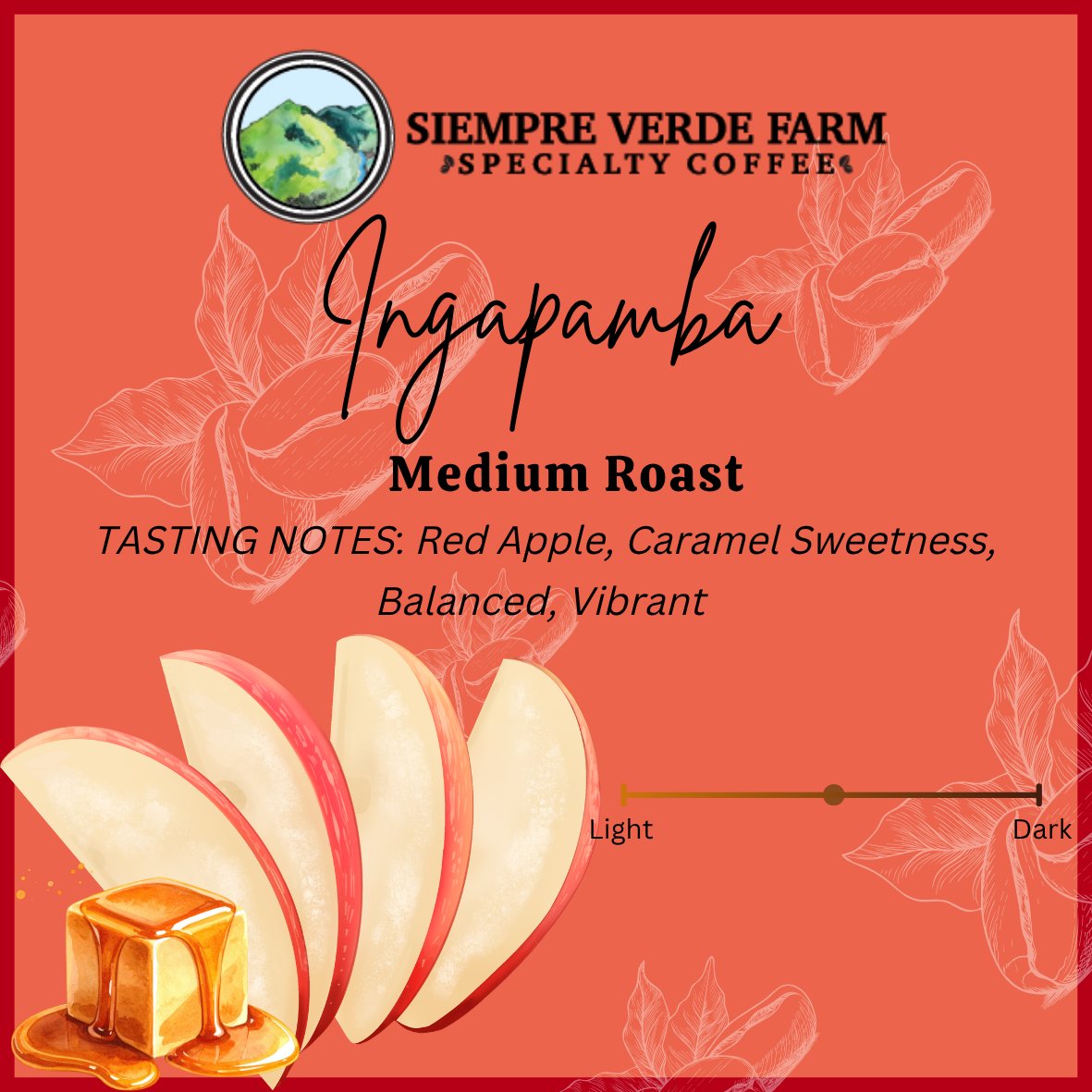 Ingapamba - Medium Roast