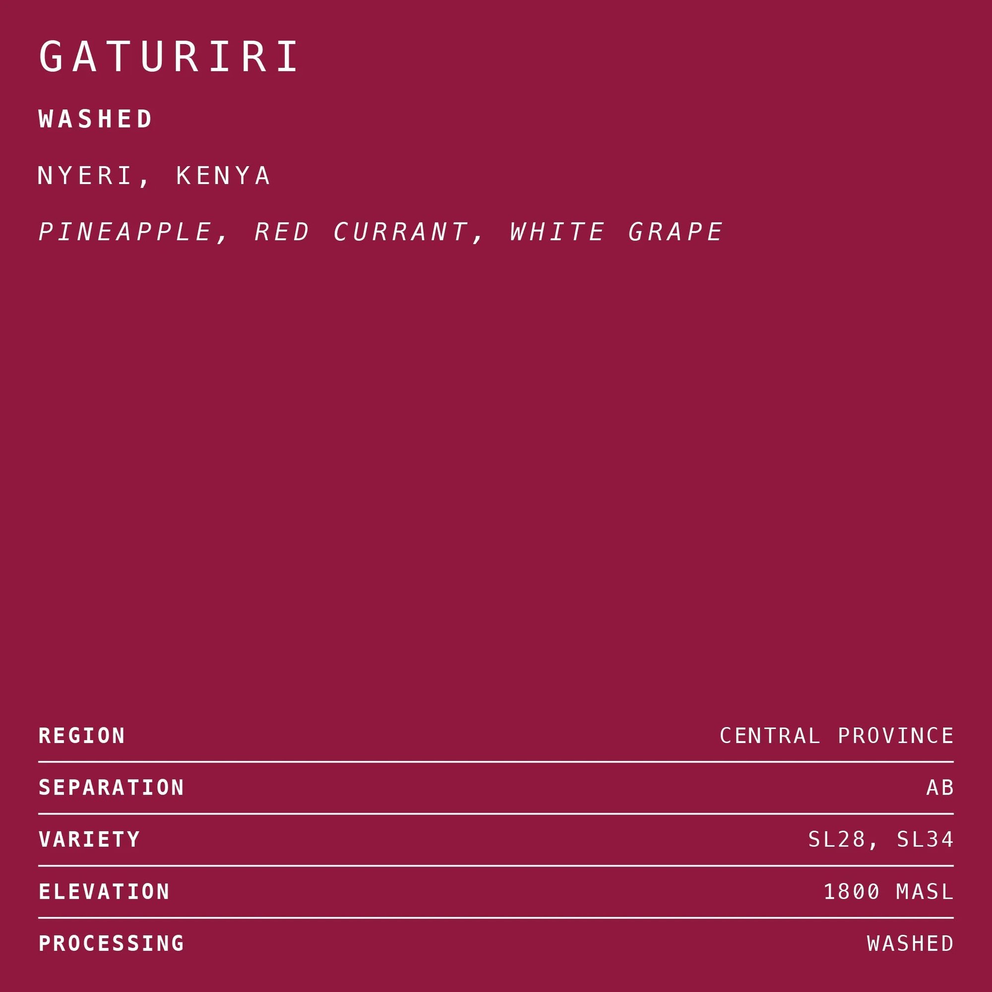 Gaturiri Washed