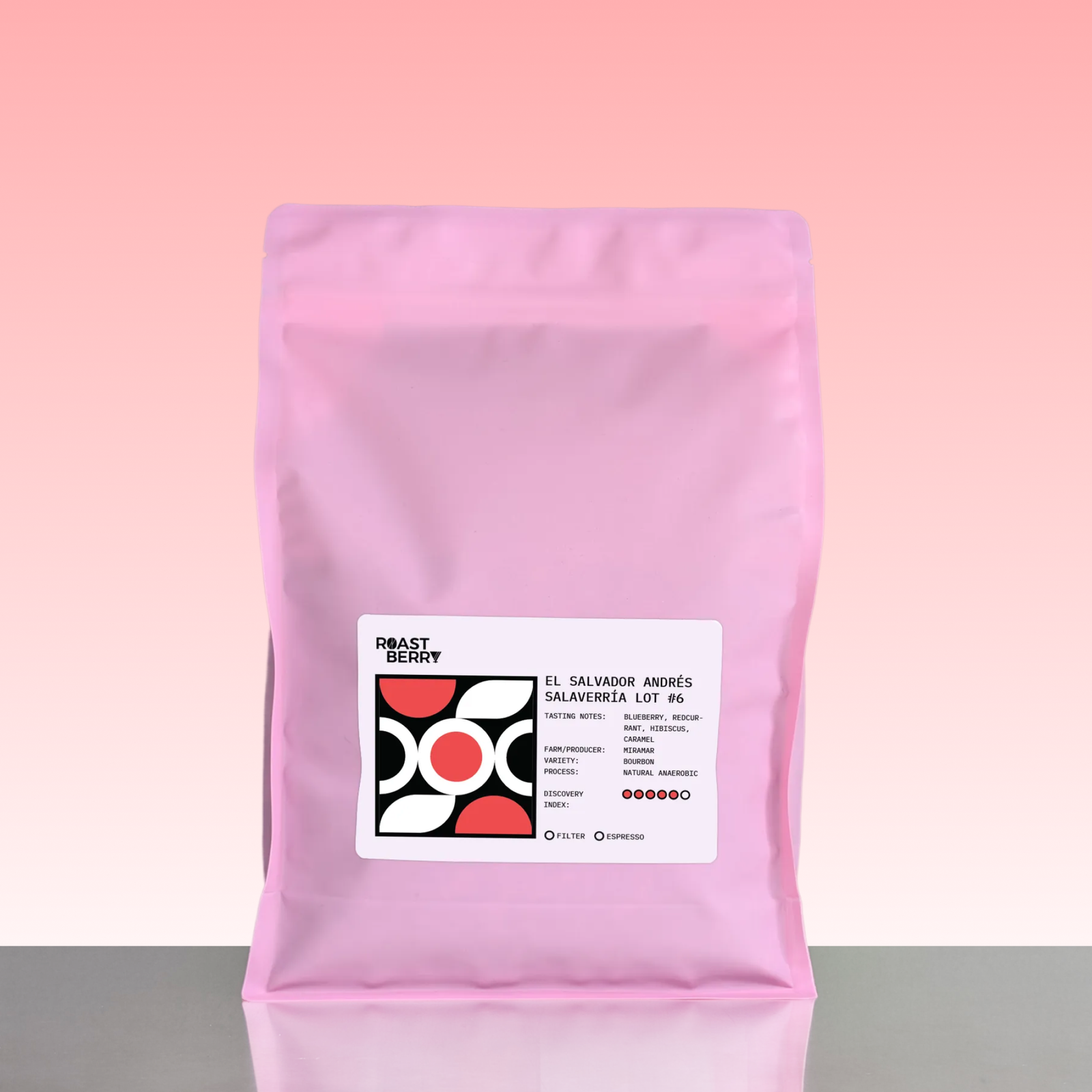 El Salvador Andrés Salaverría Lot #6 Filter 1KG
