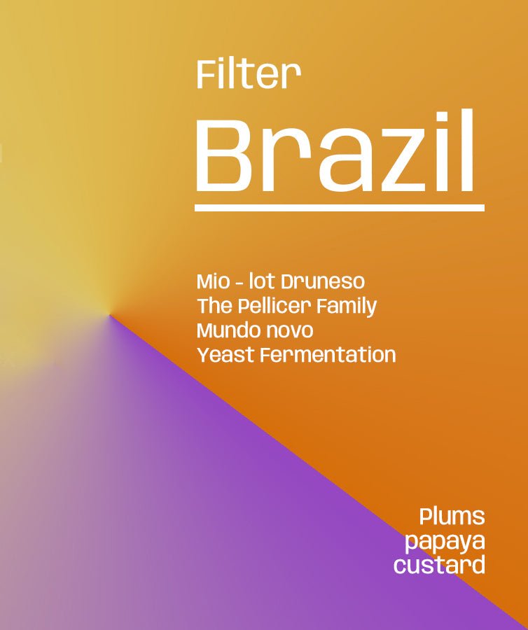 Brazil Fazenda Mio Druneso - Filter